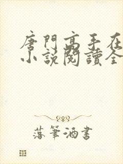 唐门高手在异世小说阅读全文
