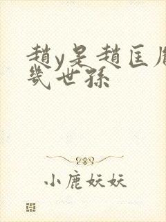 赵y是赵匡胤的几世孙