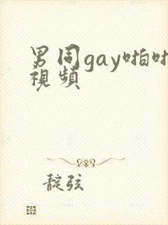 男同gay啪啪视频