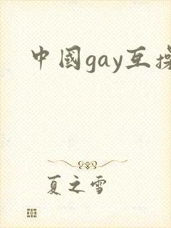 中国gay互操