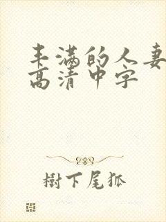 丰满的人妻hd高清中字