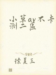小草av不卡亚洲二区