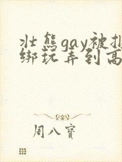 壮熊gay被捆绑玩弄到高潮封面