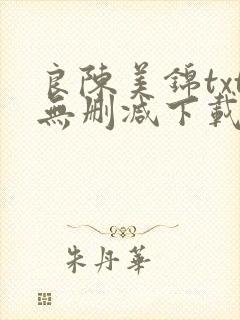 良陈美锦txt无删减下载封面