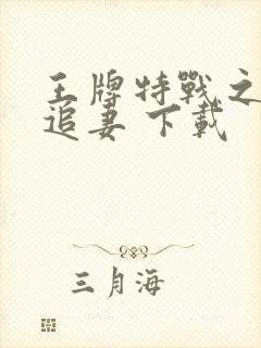 王牌特战之权少追妻 下载