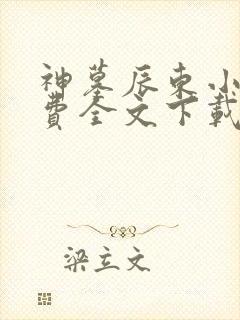 神墓辰东小说免费全文下载封面
