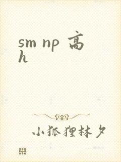 sm np 高h封面