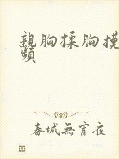 亲胸揉胸摸下视频
