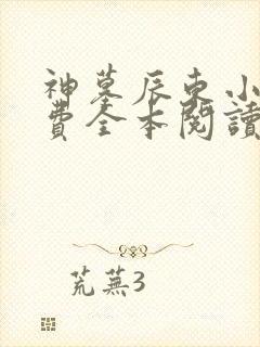 神墓辰东小说免费全本阅读
