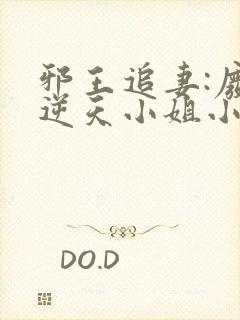 邪王追妻:废材逆天小姐小说