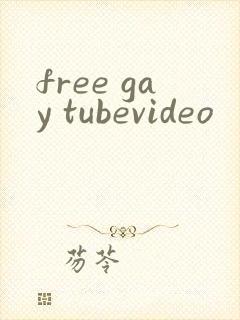 free gay tubevideo封面