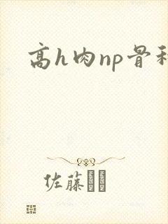 高h肉np骨科