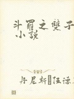 斗罗之双子斗罗 小说