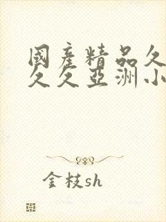 国产精品久久久久久亚洲小说