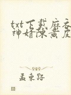 txt下载麻衣神婿陈黄皮,叶红鱼