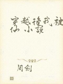 穿越后我被迫修仙 小说