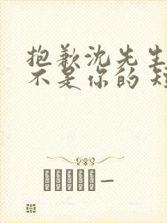 抱歉沈先生孩子不是你的 短剧