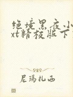 绝境黑夜小说txt精校版下载