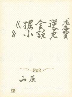 《掘金逆袭之路》小说免费阅读