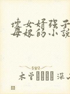 坏女婿强子和丈母娘的小说免费阅读封面