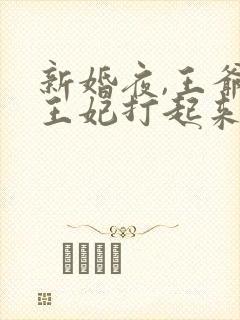 新婚夜,王爷和王妃打起来了在线免费阅读
