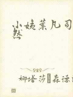 小姨叶凡司空嫣然