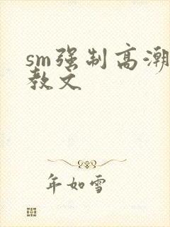 sm强制高潮调教文封面