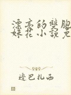 漂亮的双胞胎姐妹花小说免费观看全文封面