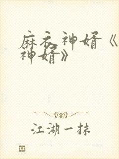 麻衣神婿《天降神婿》