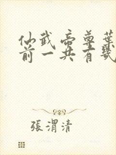 仙武帝尊叶辰目前一共有几个老婆封面