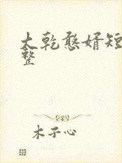 大乾憨婿短剧完整封面