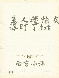 万人迷炮灰被反派盯了txt