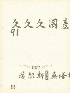 久久久国产精品91