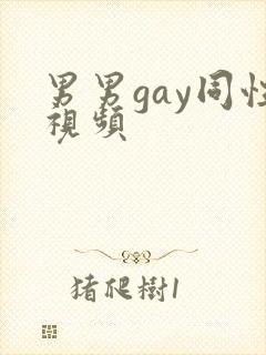 男男gay同性视频封面