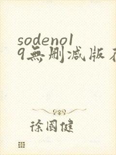 sodeno19无删减版在线播放