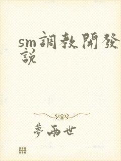 sm调教开发小说