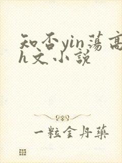 知否yin荡高h文小说封面