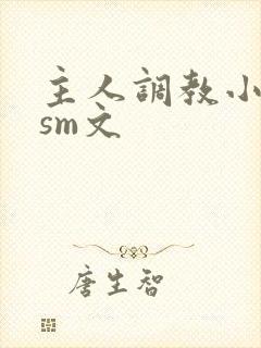 主人调教小猫奴sm文