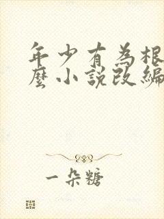 年少有为根据什么小说改编