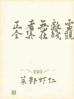 正者无敌电视剧全集在线观看免费
