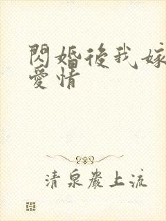闪婚后我嫁给了爱情封面