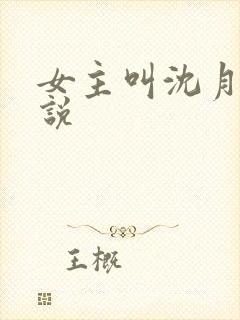 女主叫沈月的小说