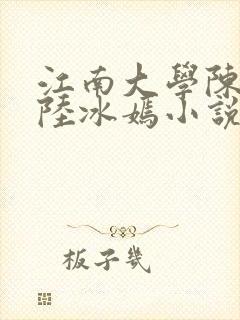 江南大学陈宝柱陆冰嫣小说封面