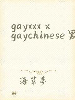gayxxxⅹgaychinese男男封面