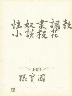 性奴隶调教虐待小说校花封面