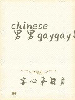 chinese男男gaygay网站封面