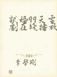 试婚99天电视剧在线播放
