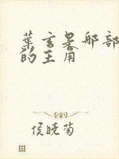 叶玄是哪部小说的主角封面