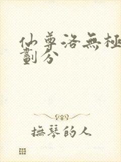 仙尊洛无极境界划分