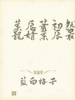 叶辰萧初然上门龙婿叶辰最新封面